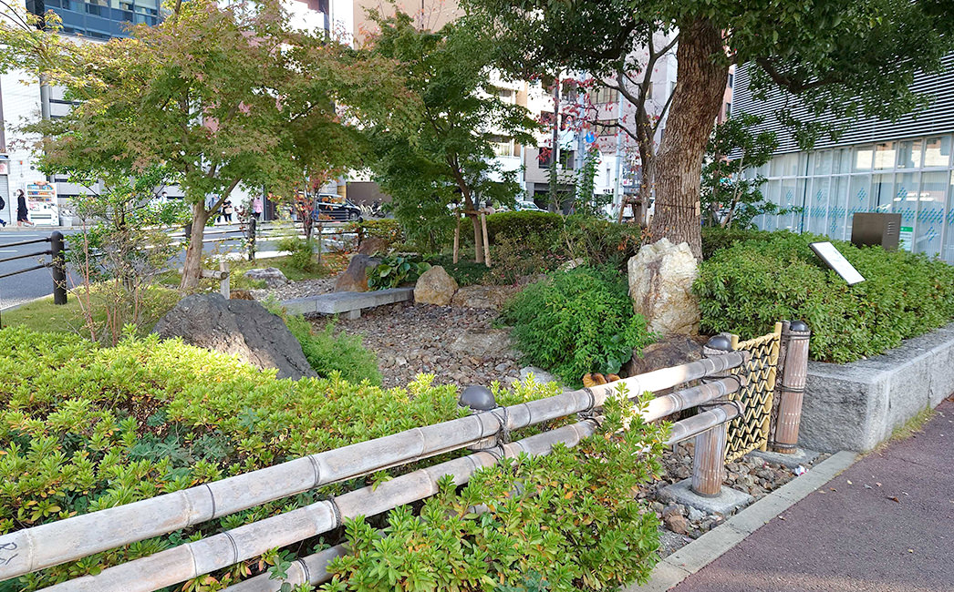 写真:京都市の雨庭