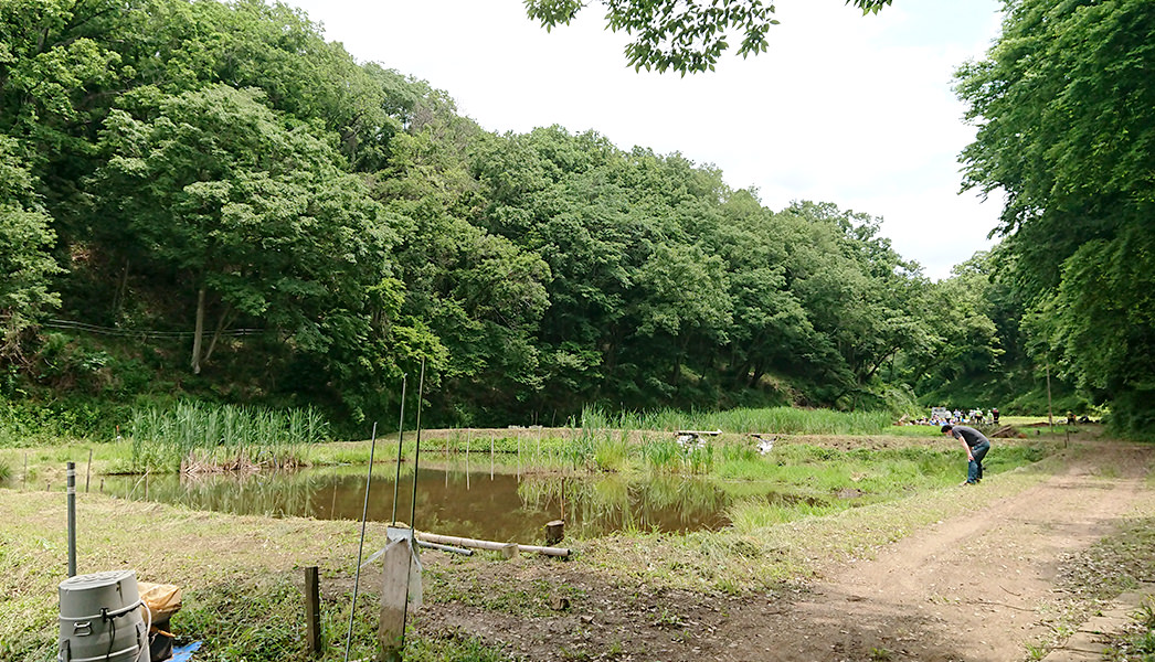 写真:遊休農地における湿地の再生