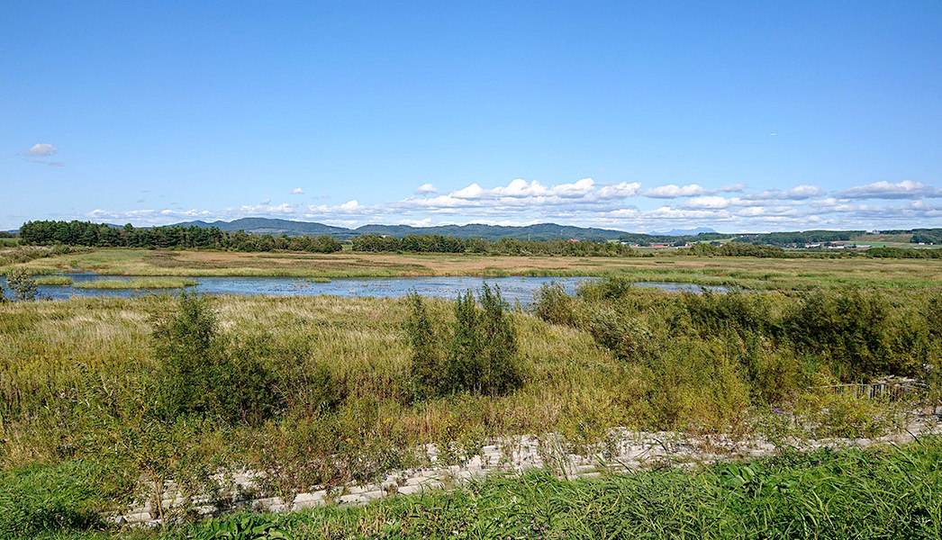 写真:北海道の舞鶴遊水地