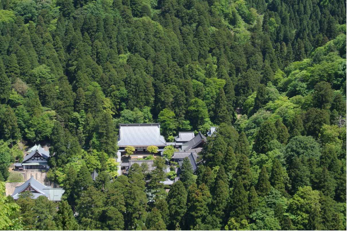広大な森に包まれた永平寺の伽藍