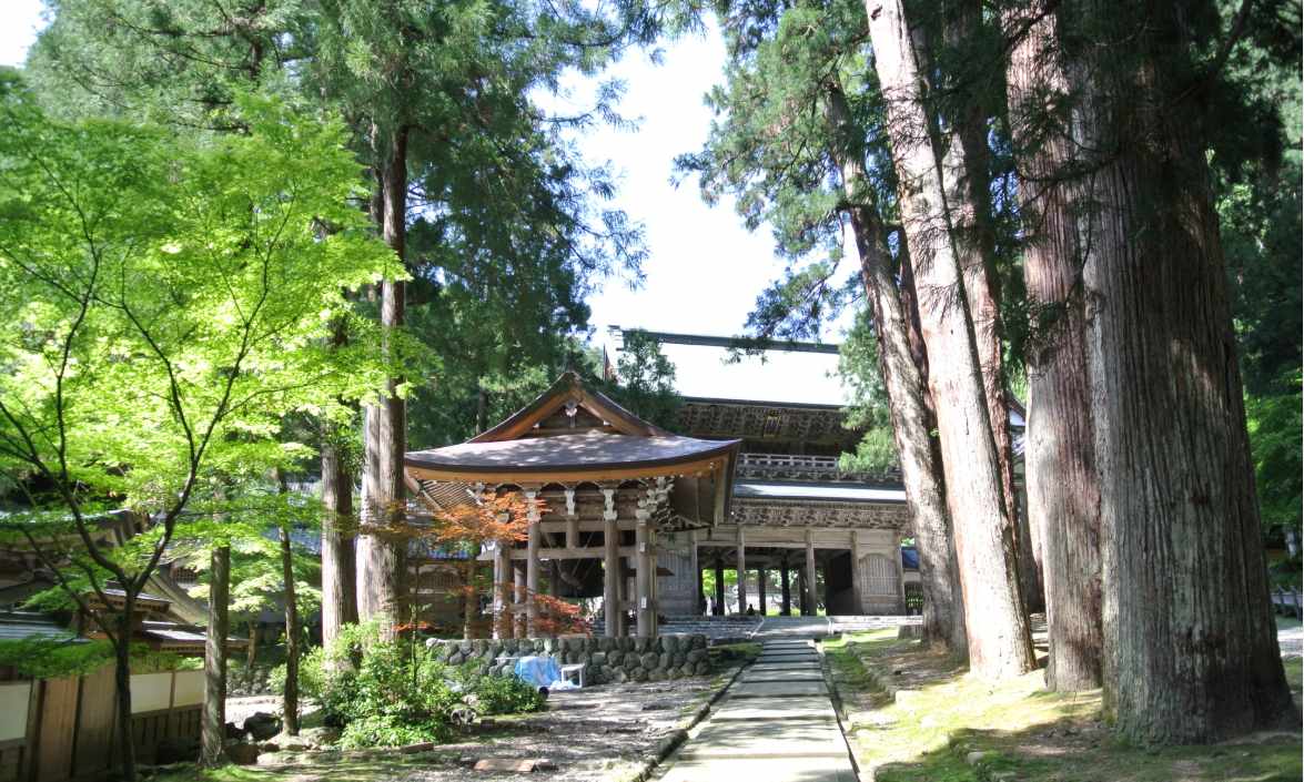 永平寺山門と五代スギ