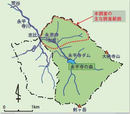 永平寺の森の主な調査範囲