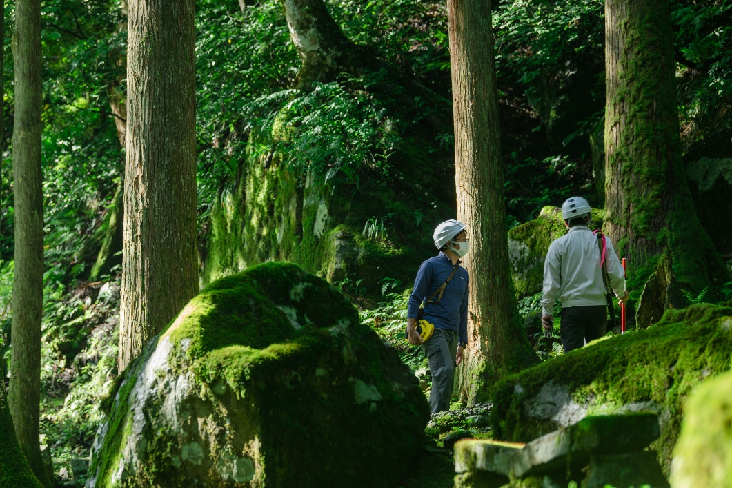 森の中を歩きながら、環境の実態を確かめる