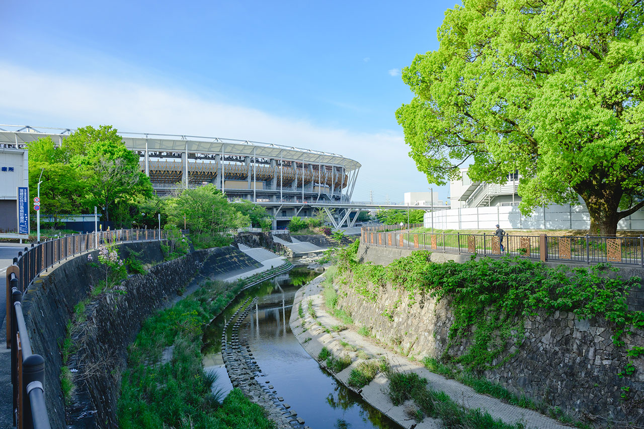競技場周辺の公園の緑が豊富