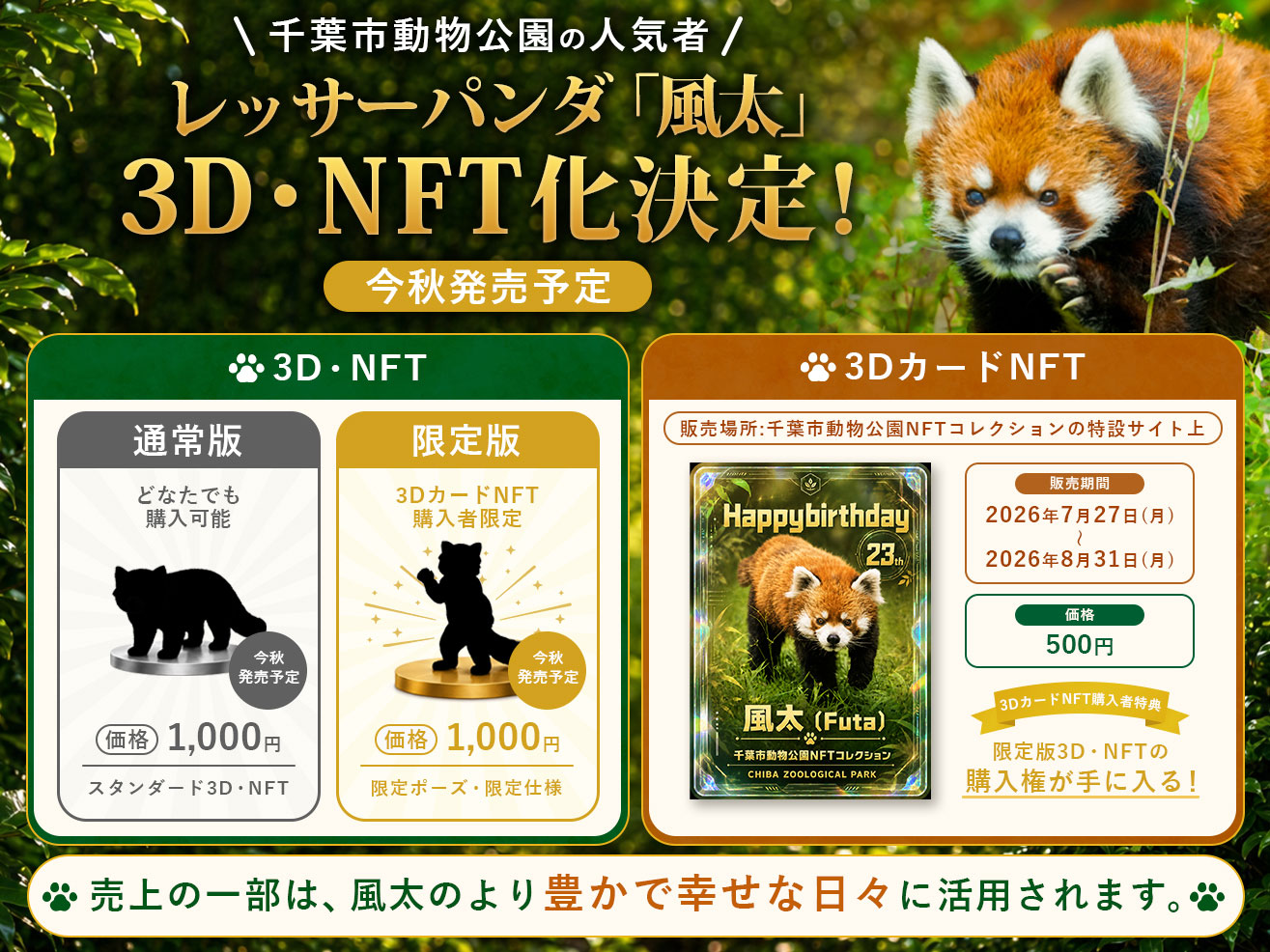 レッサーパンダ「風太」3D・NFT化決定!