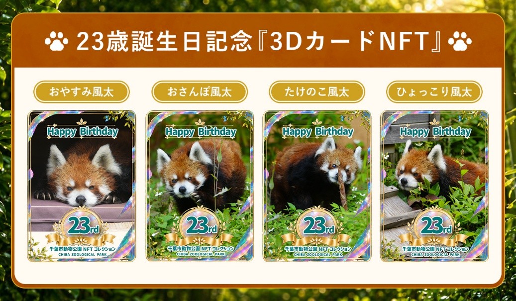 レッサーパンダ「風太」3D・NFT化決定!
