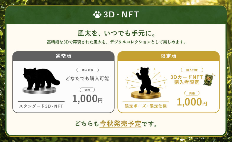 販売予定の3D・NFTのイメージ