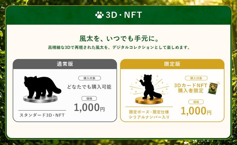 風太の3D・NFT