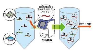 画期的な調査方法－「環境DNA」