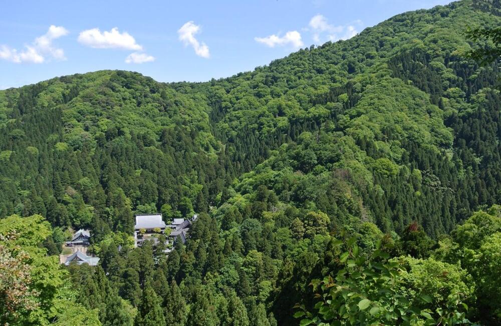 大本山永平寺の森の保全事業